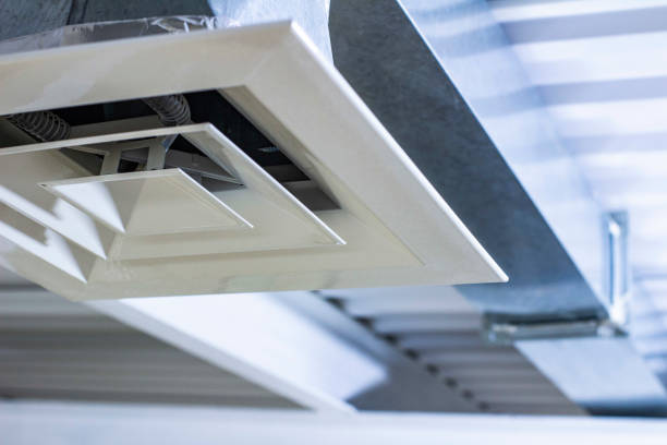 Best Dryer Vent Cleaning Services  in Dudley, NC