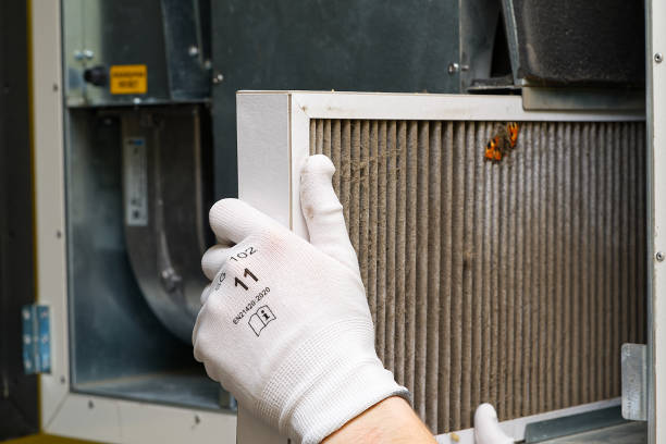 Best Affordable Air Duct Cleaning  in Dudley, NC