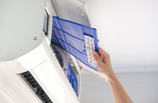 Best Home Air Vent Cleaning  in Dudley, NC