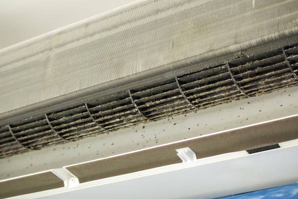 Best Residential Air Duct Cleaning  in Dudley, NC