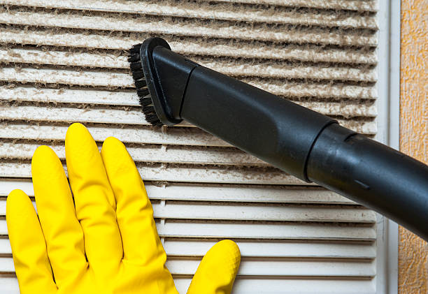 Best Air Duct Cleaning Near Me  in Dudley, NC